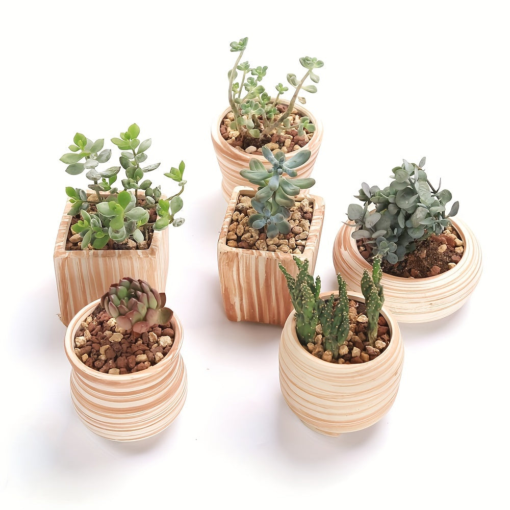 SUN-E 6pcs/Set Mini Plant Pots Pattern Succulent Plant Pot Cactus Pot Flower Pot Decorative Ceramic Planter for Home House Office Outdoor Garden Container Planter Perfect Gift Idea for Women with Drain Hole 2.5Inch/6.5cm (Pla