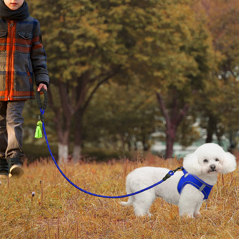 JOYTALE Reflective Dog Leash with Comfortable Padded Handle - Ideal for Small, Medium, and Large Dogs - 4/5/6 FT Length Options Available
