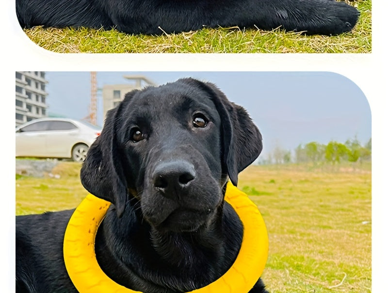 1pc Extra-Large Dog Flying Disc - Engaging Chew-resistant Toy for Interactive Fun, Stimulating Exercise & Teeth Cleaning - Perfect for Outdoor Play with Your Pup!