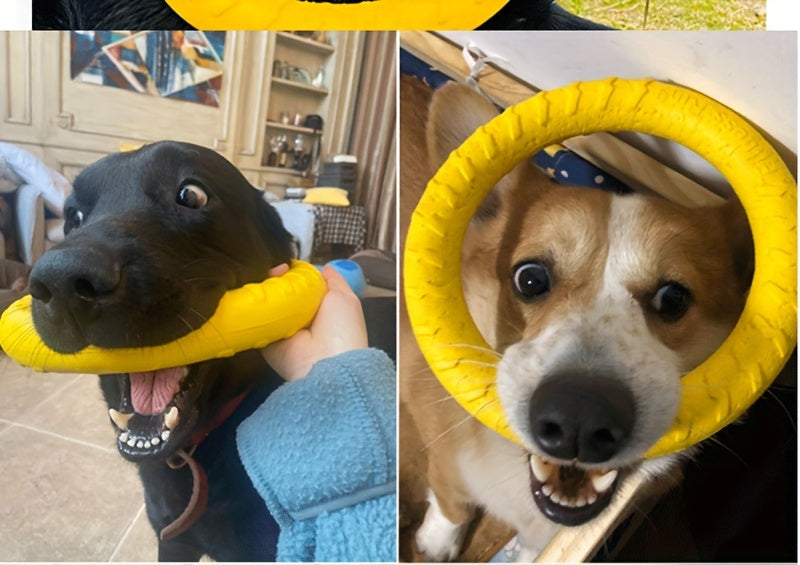 1pc Extra-Large Dog Flying Disc - Engaging Chew-resistant Toy for Interactive Fun, Stimulating Exercise & Teeth Cleaning - Perfect for Outdoor Play with Your Pup!