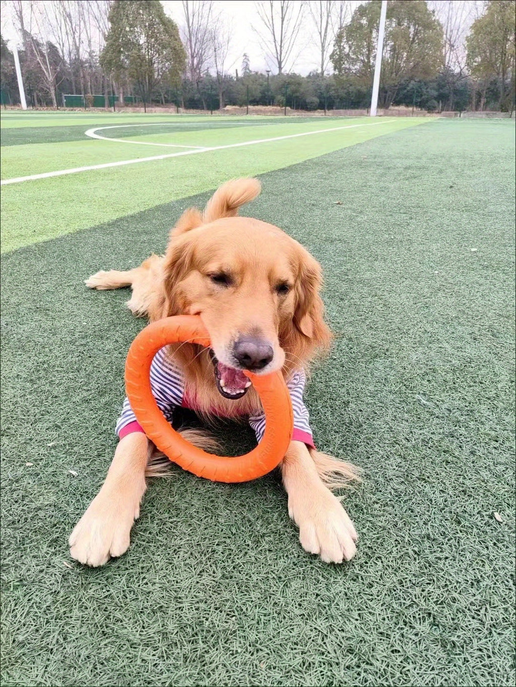 1pc Extra-Large Dog Flying Disc - Engaging Chew-resistant Toy for Interactive Fun, Stimulating Exercise & Teeth Cleaning - Perfect for Outdoor Play with Your Pup!