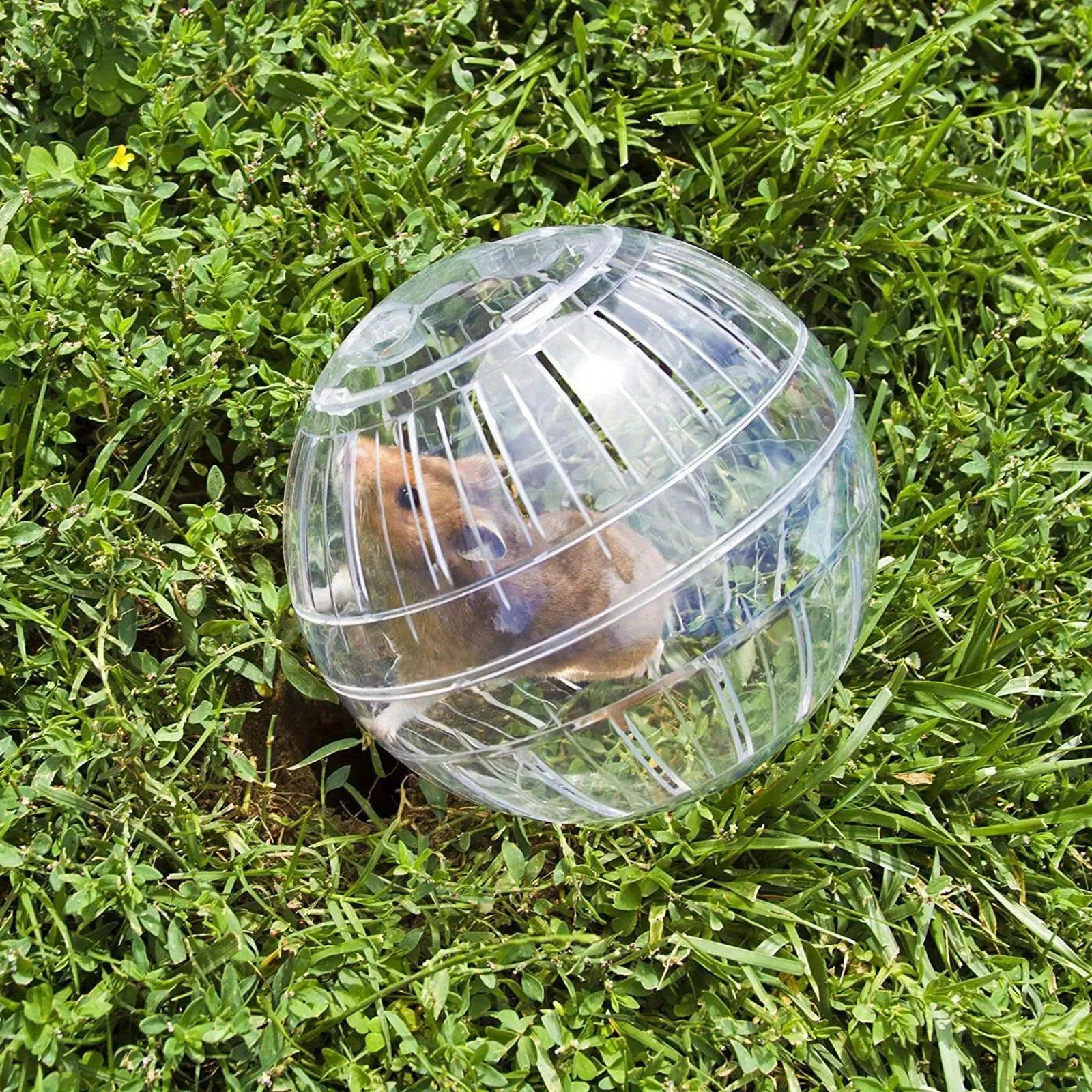 Outdoor Sport Ball, Grounder Rat Small Pet Rodent Mice Balls, Rat Exercise Hamster Gerbil Play Toys Jogging Toys