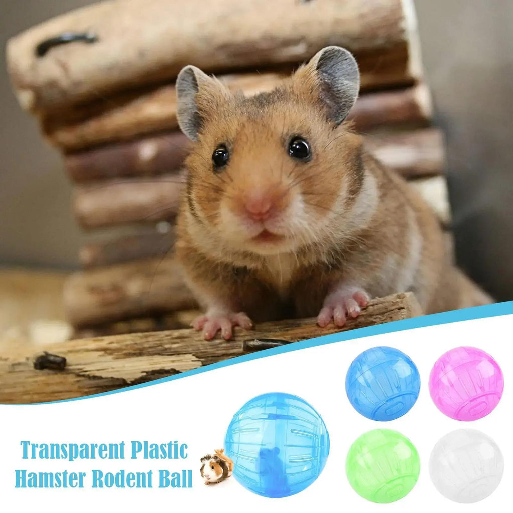 Outdoor Sport Ball, Grounder Rat Small Pet Rodent Mice Balls, Rat Exercise Hamster Gerbil Play Toys Jogging Toys