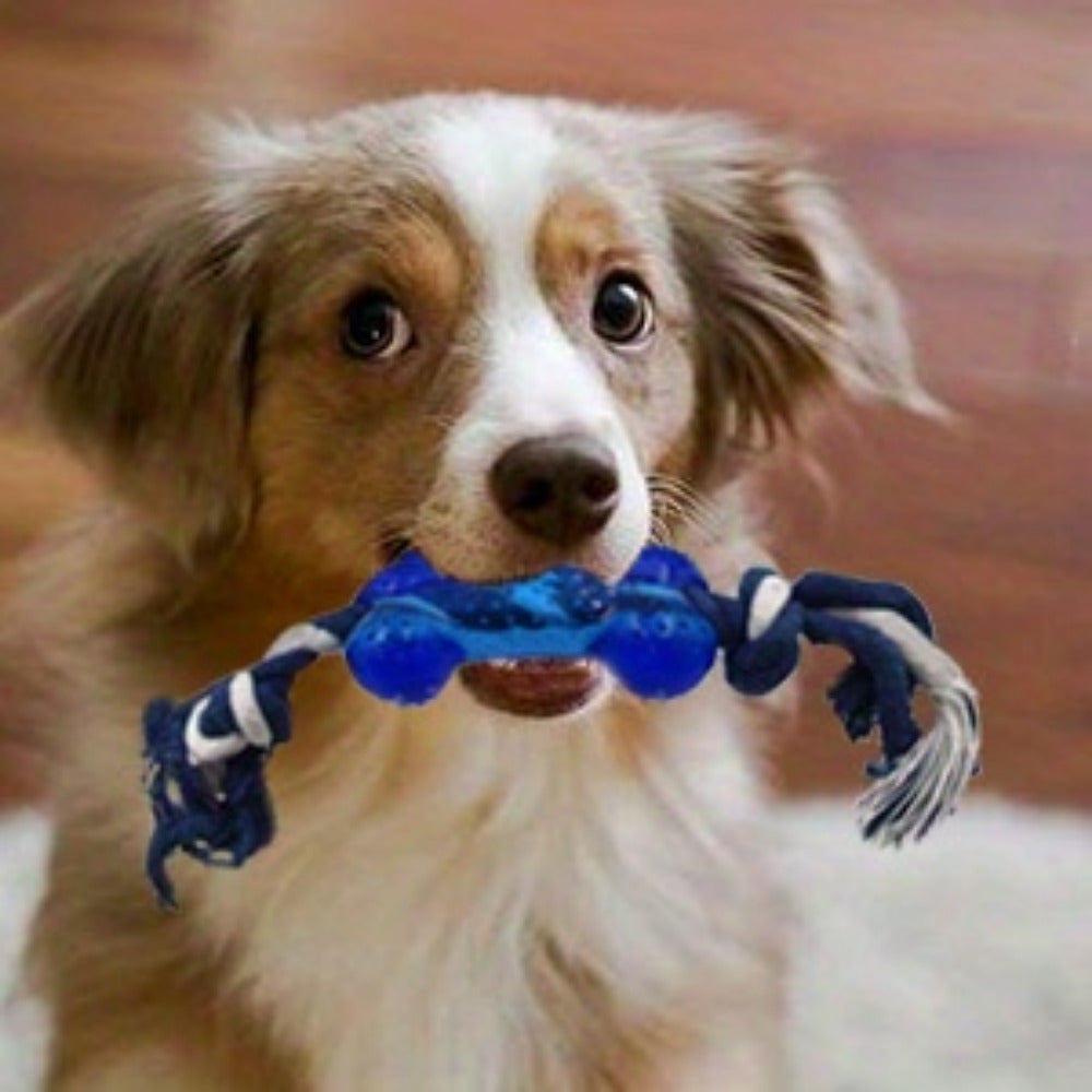 15-Pack Assorted Durable Dog Chew Toys - Fabric Rope Teething Toys for All Breed Sizes - Interactive Tug Toys for Mental Stimulation and Boredom Relief