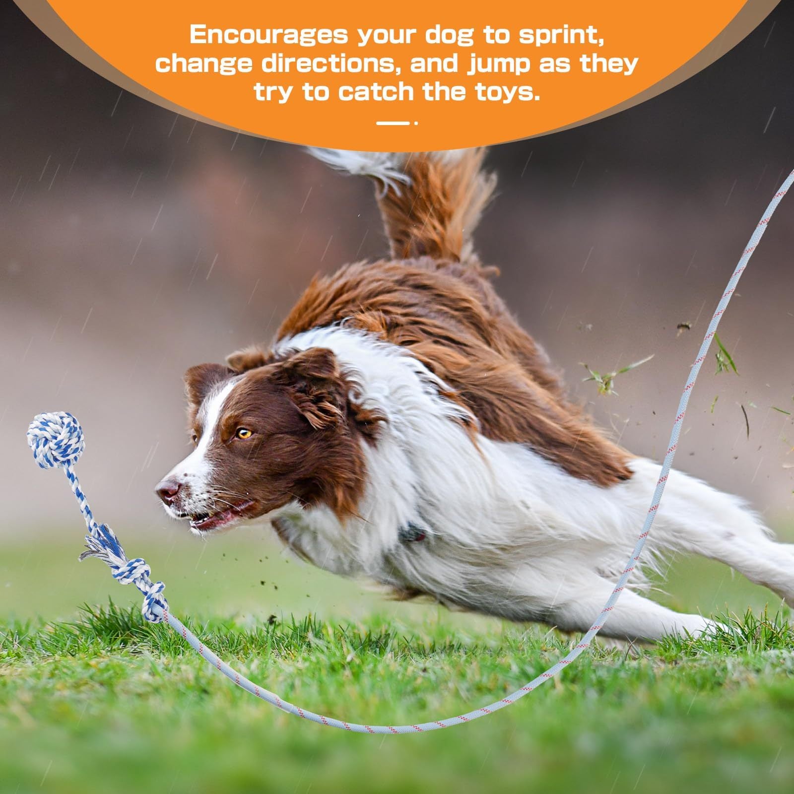 Extendable Flirt Pole for Large Dogs - Dog Flirt Stick with Detachable Interactive Toys - Flirt Stick for Small Medium Large Dogs Training Playing Exercise - Enhances Agility & Cleans Teeth, Dog Toys