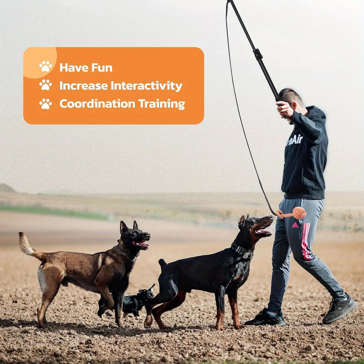 LOOBANI Flirt Pole For Dogs Chase And Tug Of War,
