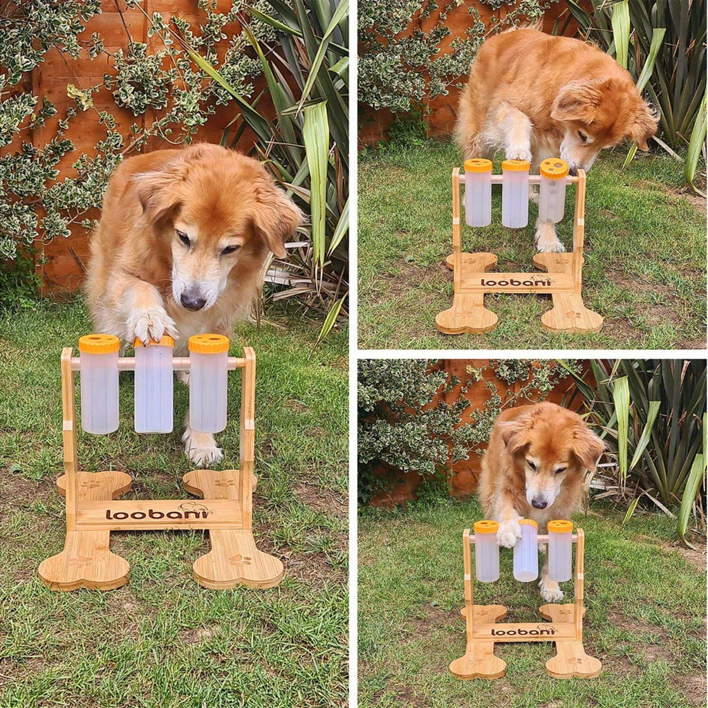 Dog Puzzle Toys Wooden -Interactive Slow Feeder Dog Toy, IQ