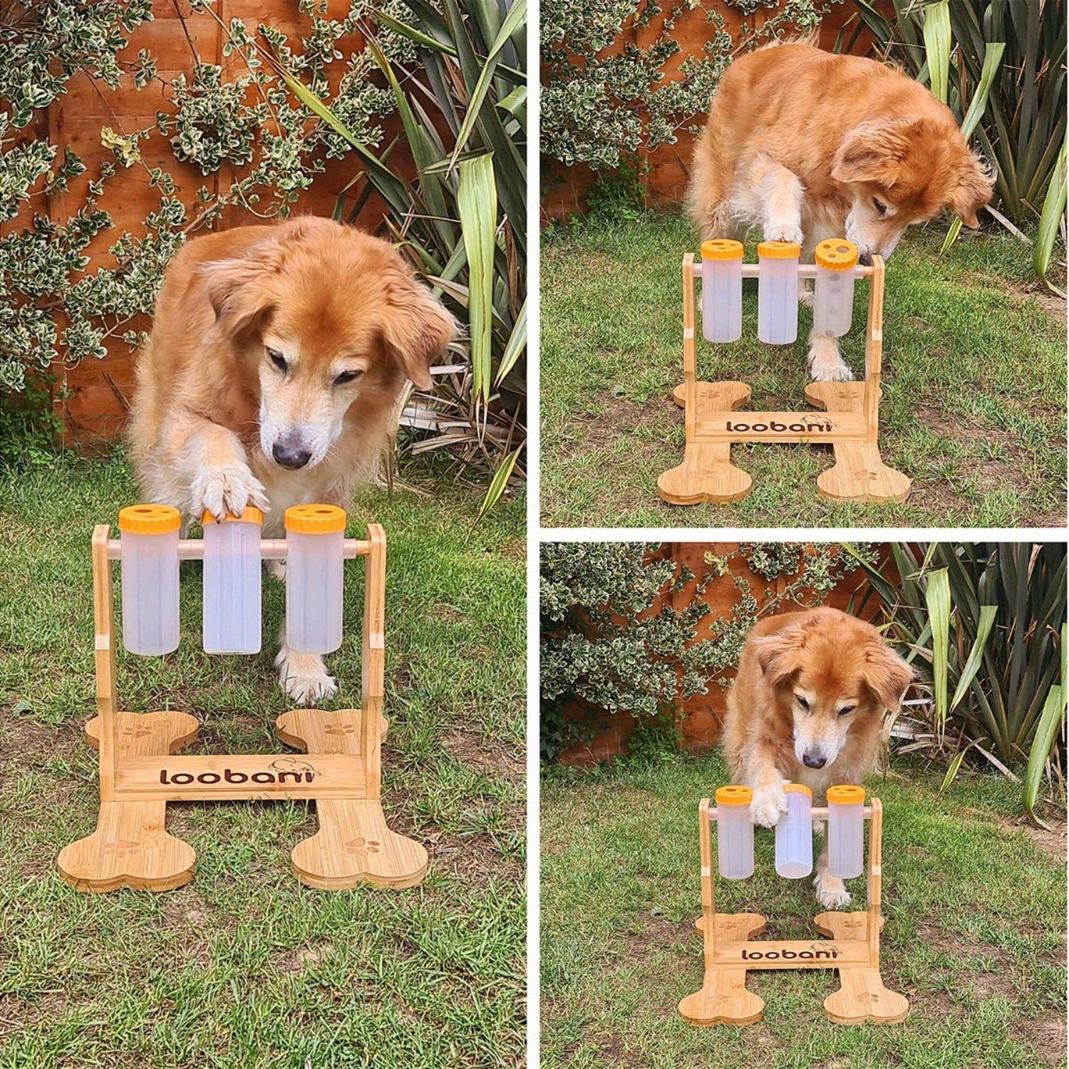 Dog Puzzle Toys Wooden -Interactive Slow Feeder Dog Toy, IQ