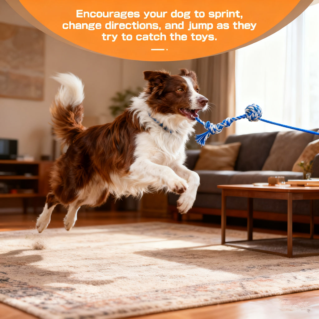 Extendable Flirt Pole for Large Dogs - Dog Flirt Stick with Detachable Interactive Toys - Flirt Stick for Small Medium Large Dogs Training Playing Exercise - Enhances Agility & Cleans Teeth, Dog Toys