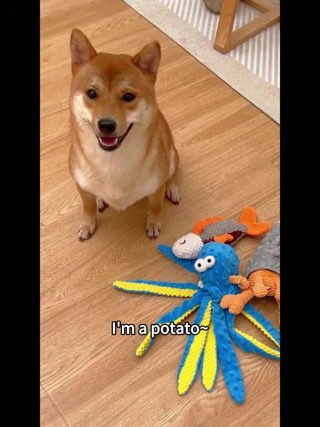 4-Pack Nocciola Ocean Theme Dog Toys - Crinkle Squeaky Interactive Plush Chew Toys for Puppies, Durable Non-Toxic Fabric with Octopus, Salmon, Hermit Crab & Shell Designs, Safe for Aggressive Chewers & All Dog Sizes, Interact