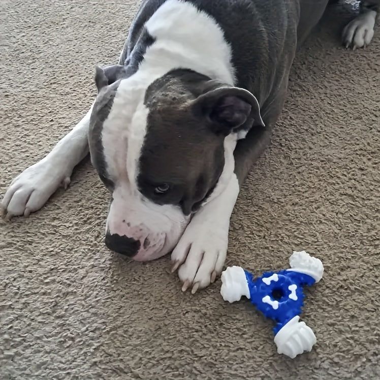 Durable Dog Chew Toy for Teeth Cleaning -