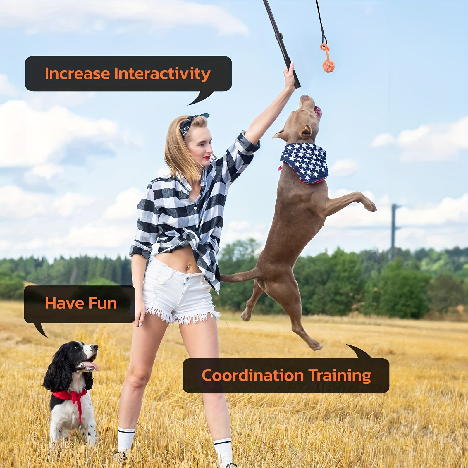 Flirt Pole For Dogs Interactive Dog Toys For Large Medium Small Dogs Chase And Tug Of War, Dog Teaser Wand With Lure Chewing Toy For Outdoor Exercise & Training (Pole-48.8inch)