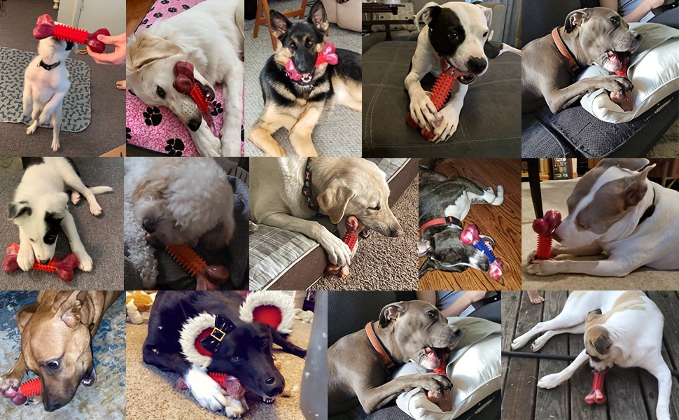 Aggressive Chewers Dog Toys Tough Dog Toys For Extreme Chewers Apasiri Dog Indestructable Toy Chew Toys For Large Dogs Toys For Dogs Interactive Dog Toys Dog Teething Toys Large Toy Dogs Birthday Toys