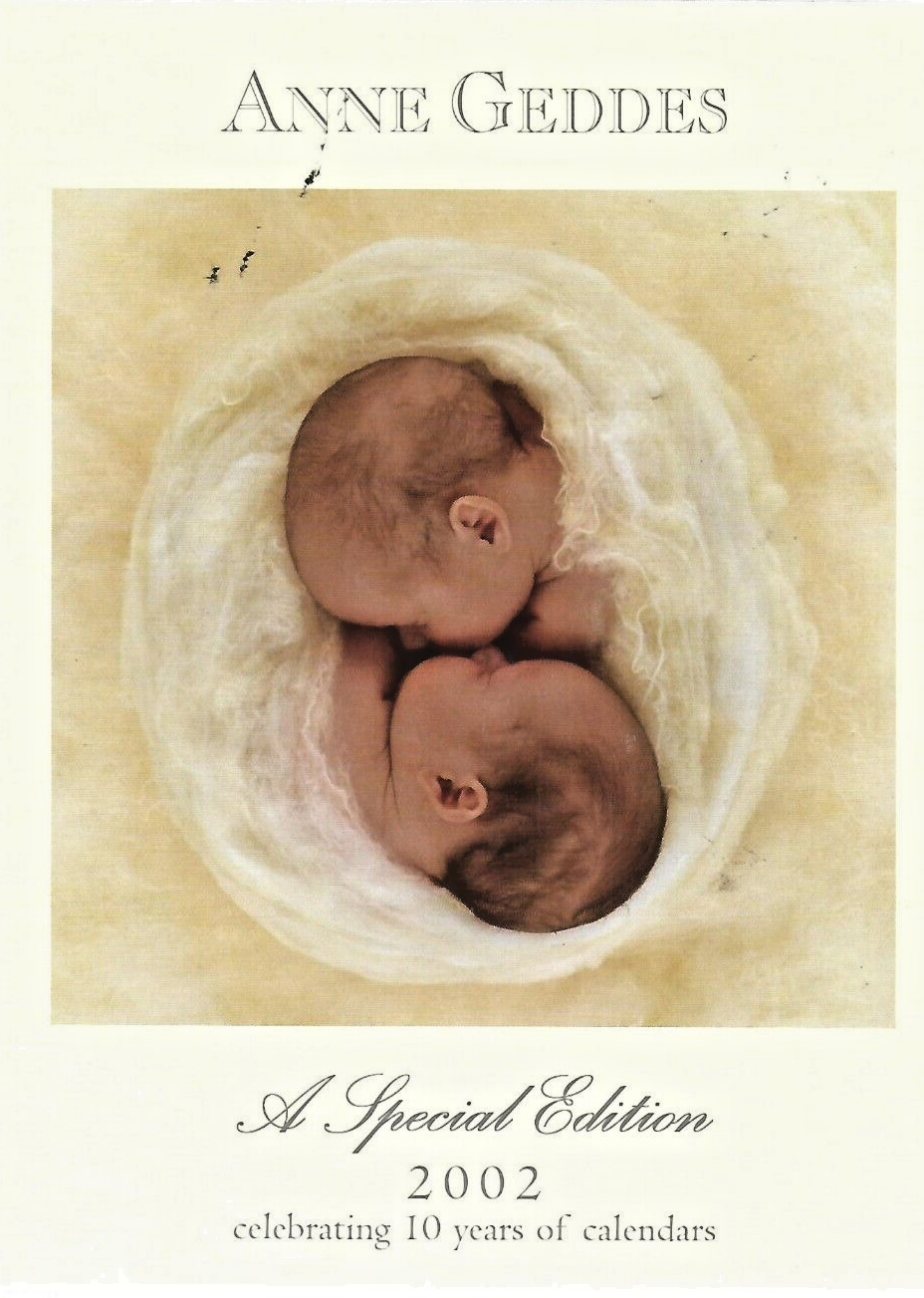 ANNE GEDDES  A SPECIAL EDITION  2002  HC              B-5