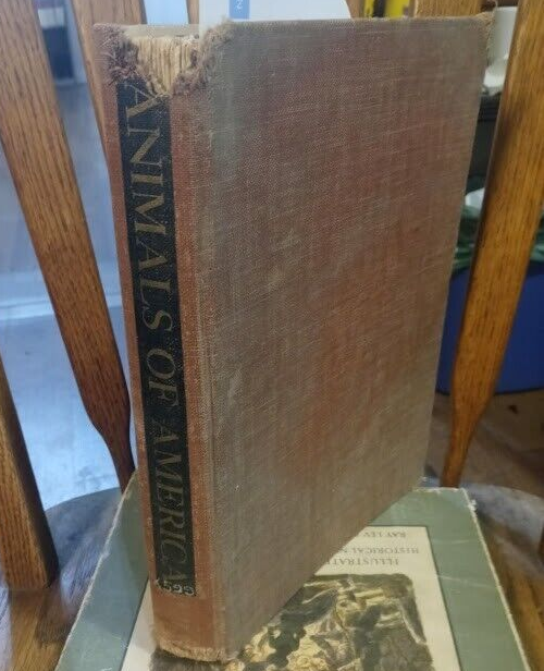 ANIMALS OF AMERICA BY GARDEN CITY PUBLISHING 1937  HC               B-3