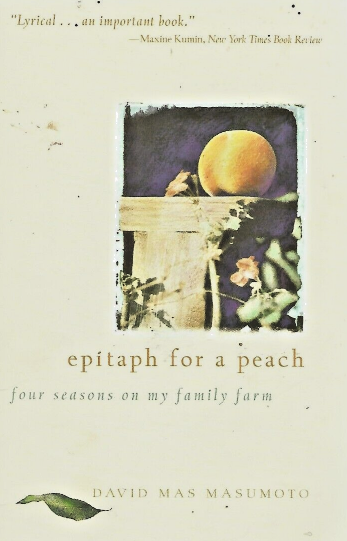 BUNDLE OF 12 PAPERBACK BOOKS SEE PICTURES FOR TITLES                      B-  20