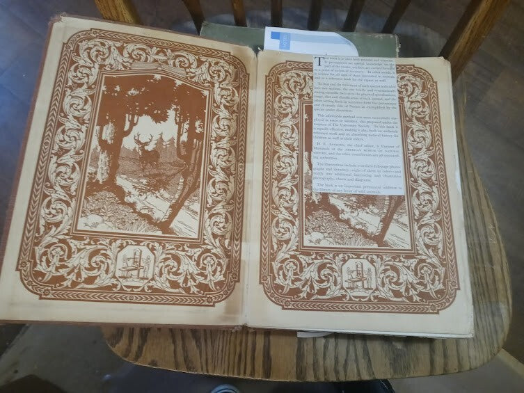 ANIMALS OF AMERICA BY GARDEN CITY PUBLISHING 1937  HC               B-3