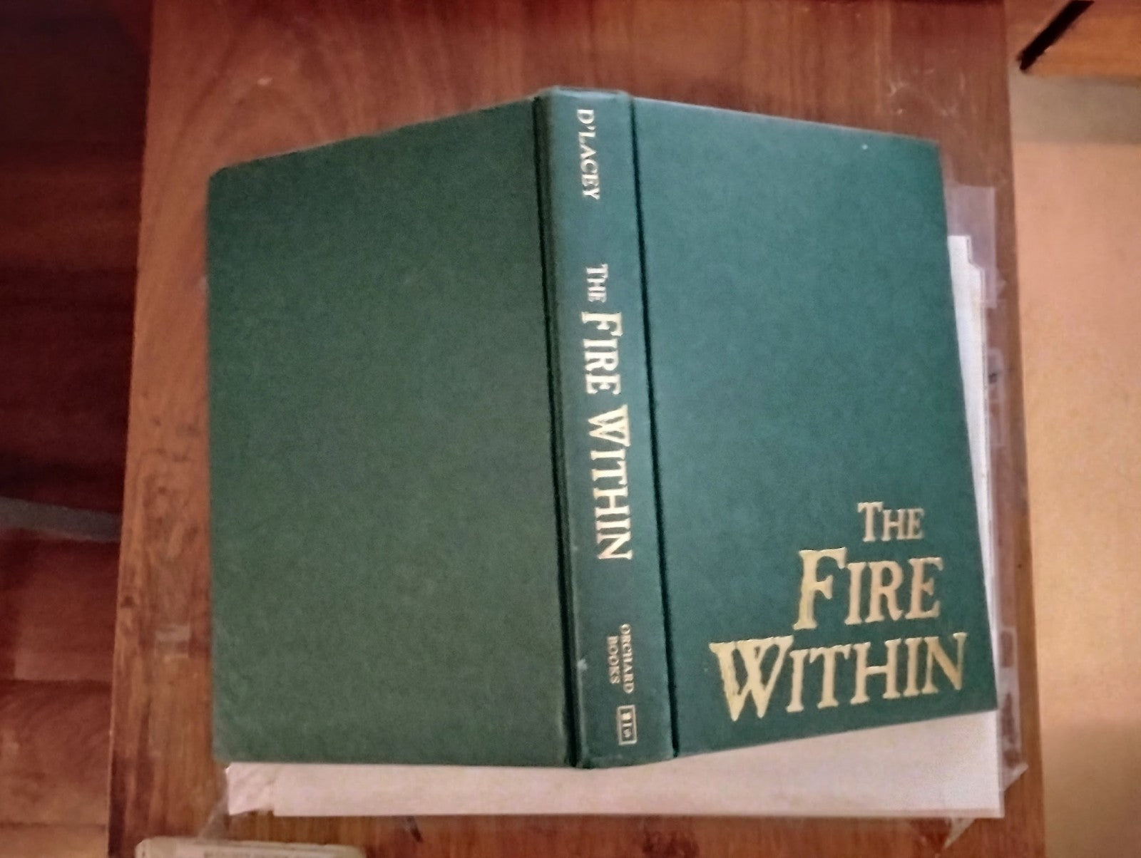 The Fire Within (The Last Dragon Chronicles #1) (1) by Chris d'Lacey  b33