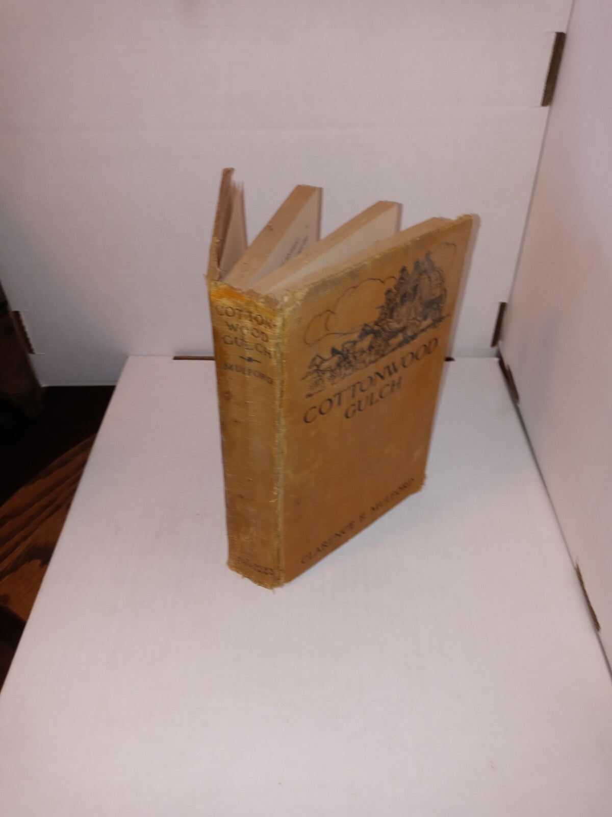 Cottonwood Gulch by Clarence Mulford  1924 HC                              B-10