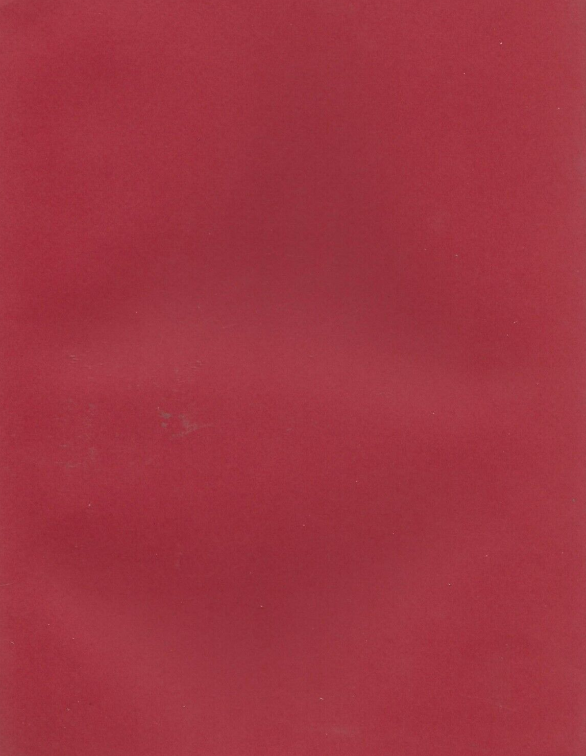 THE WISH BOOKLET BY Susan Surkis 1973  Volume XII "Like New"                B-18