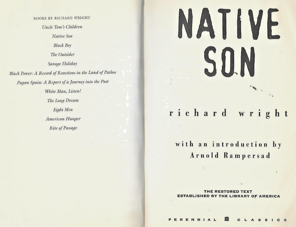 Native Son by Richard Wright (1993, Trade Paperbac                           B-2