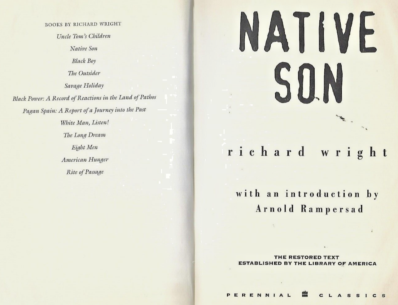 Native Son by Richard Wright (1993, Trade Paperbac                           B-2