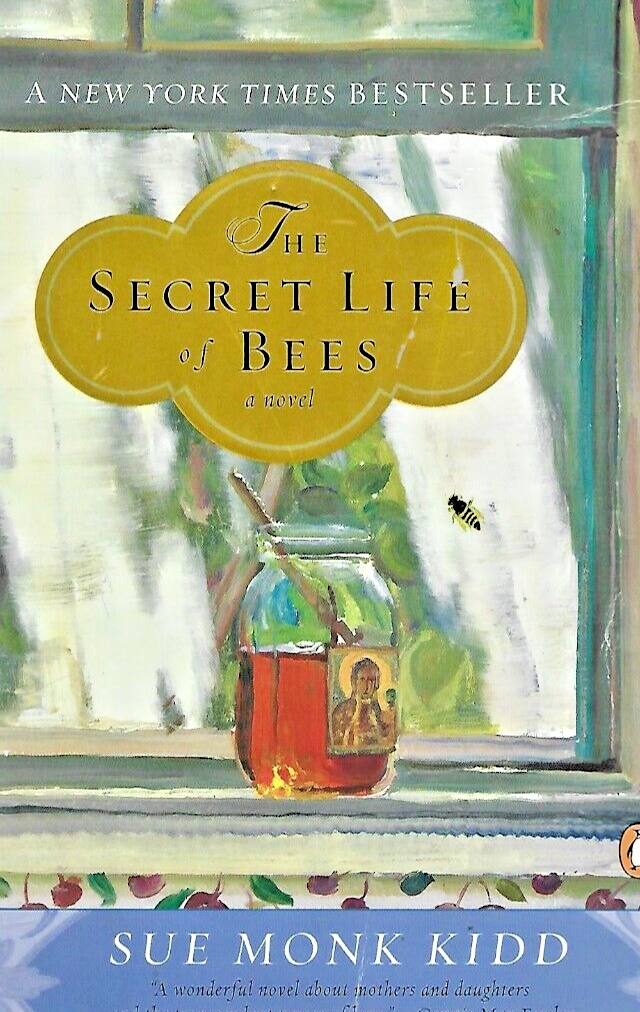 BUNDLE OF 12 PAPERBACK BOOKS SEE PICTURES FOR TITLES                      B-  20