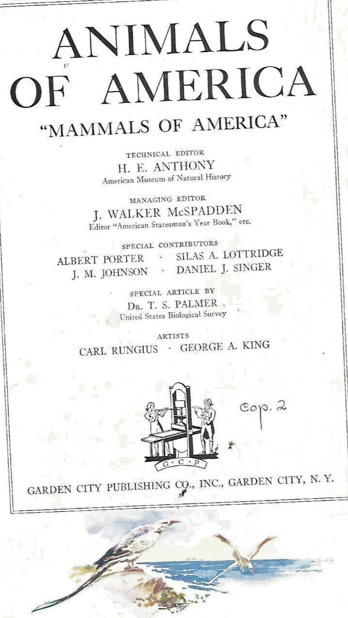 ANIMALS OF AMERICA BY GARDEN CITY PUBLISHING 1937  HC               B-3