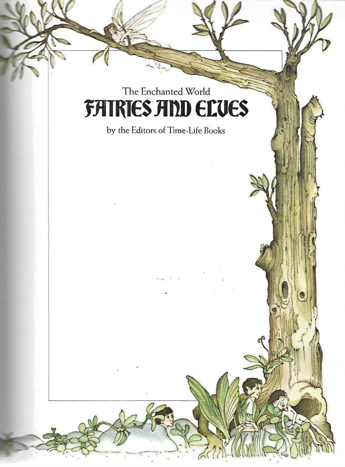 3- ENCHANTED WORLD BOOKS H/C "See Details in Description "                  B-16