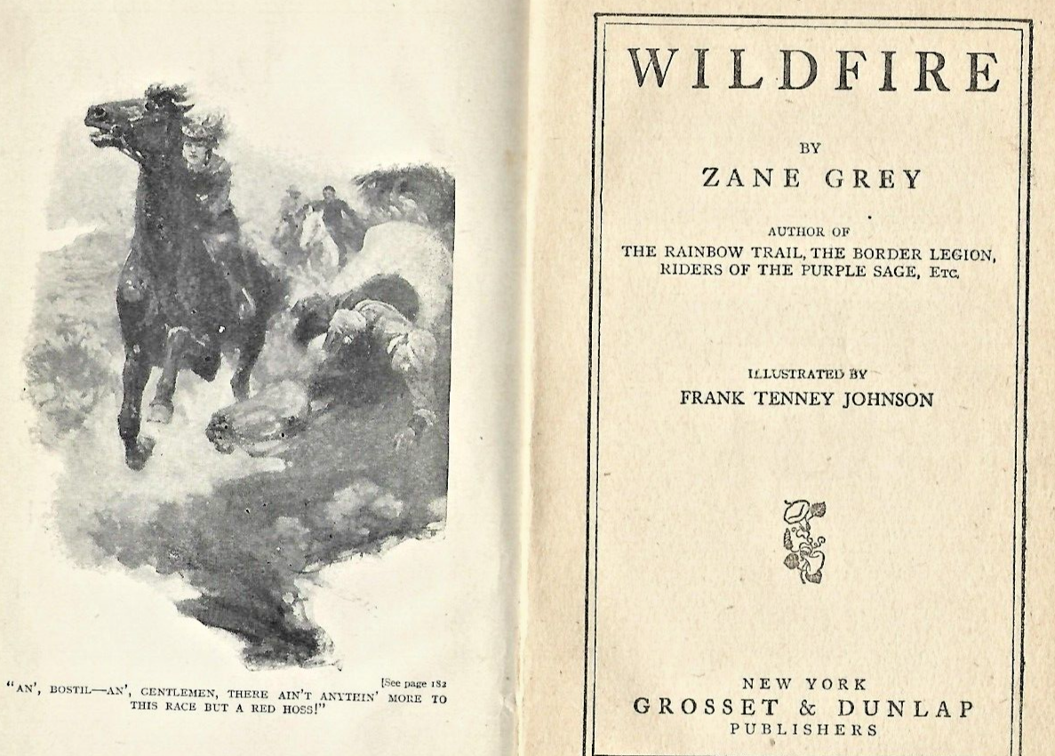 "Wildfire", 1916 Zane Grey Western, Grosset & H/C Fair Condition             B-6