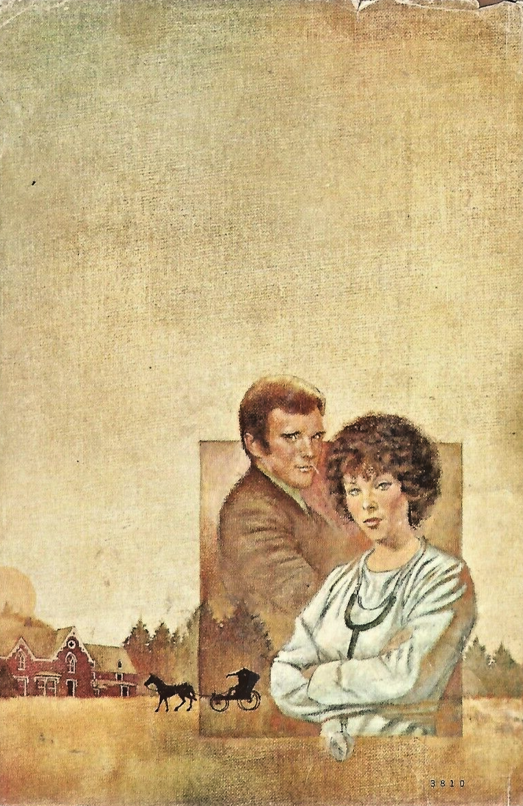 Random Winds by Belva Plain 1980  H/C                                        B-7