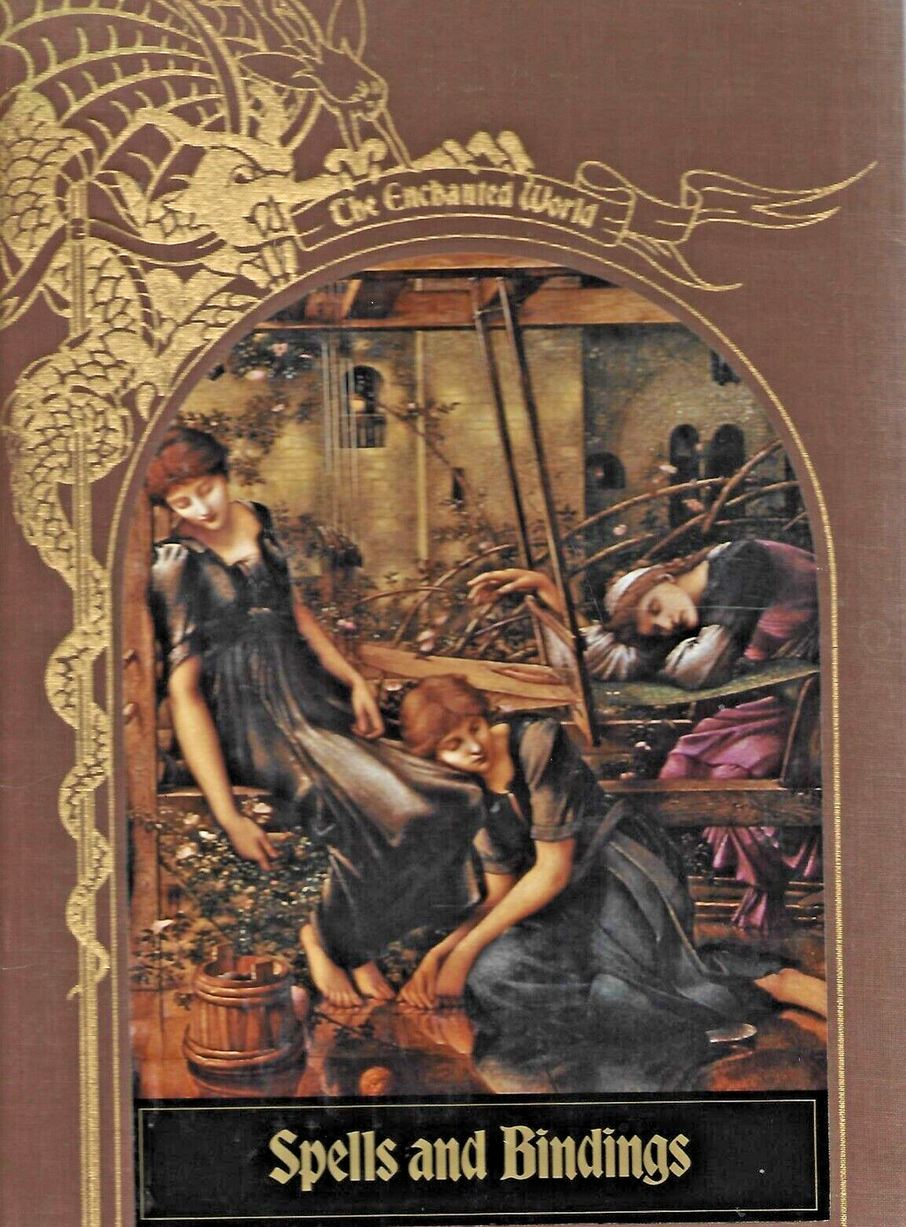 3- ENCHANTED WORLD BOOKS H/C "See Details in Description "                  B-16