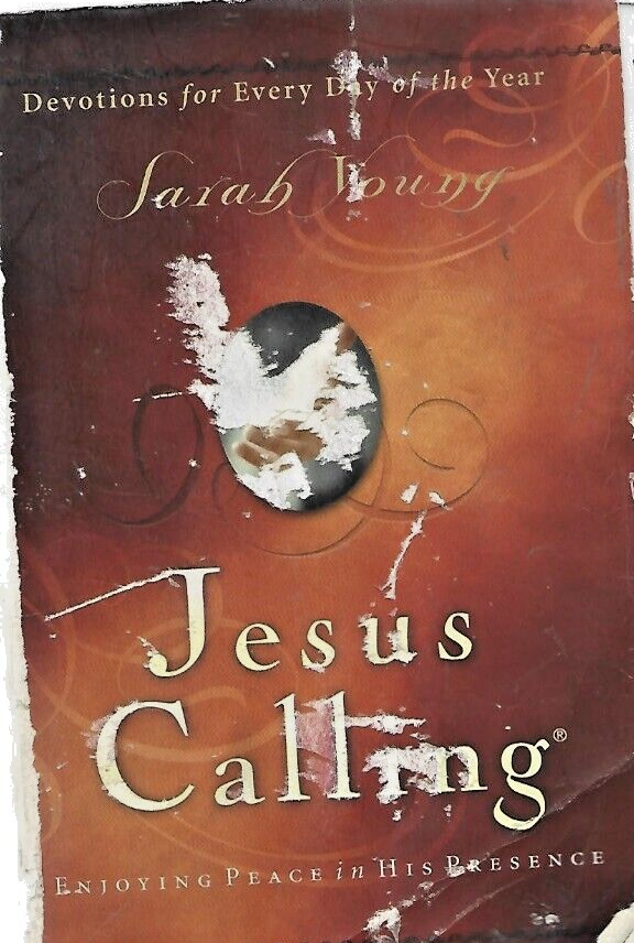 BUNDLE OF 18 PB BOOKS "SEE SELLERS DISCRIPTION "                            B-22