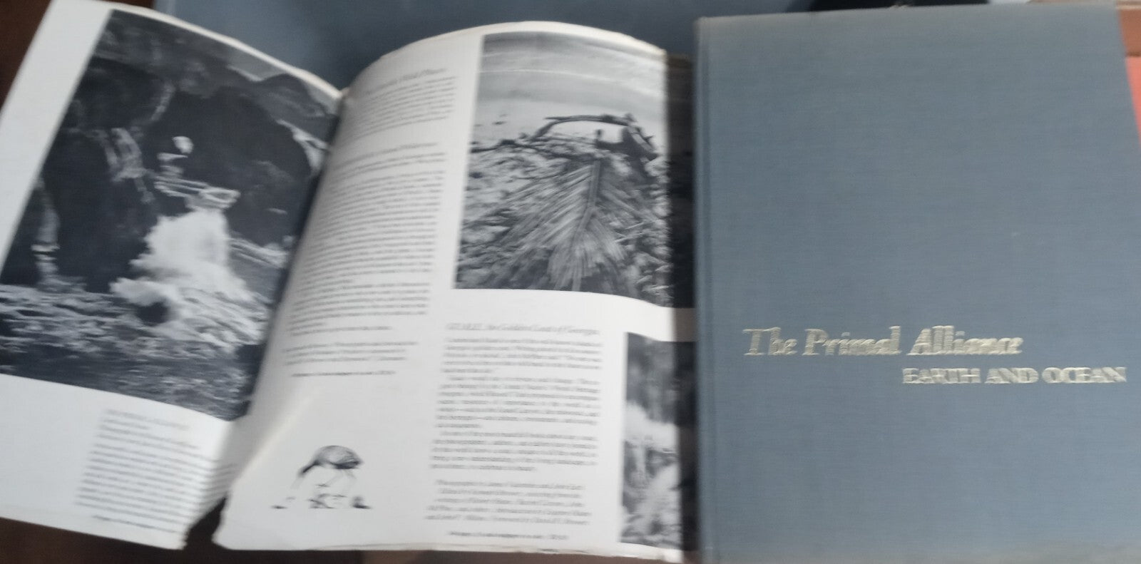 The Primal Alliance  Earth and Ocean by Richard Kauffman H/C                 B-7