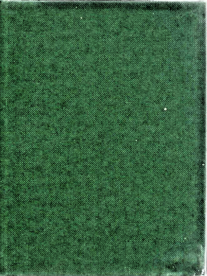 The Garden Wall 1993 1st Edition HC by Maribel Osler "MINT"                 B-29