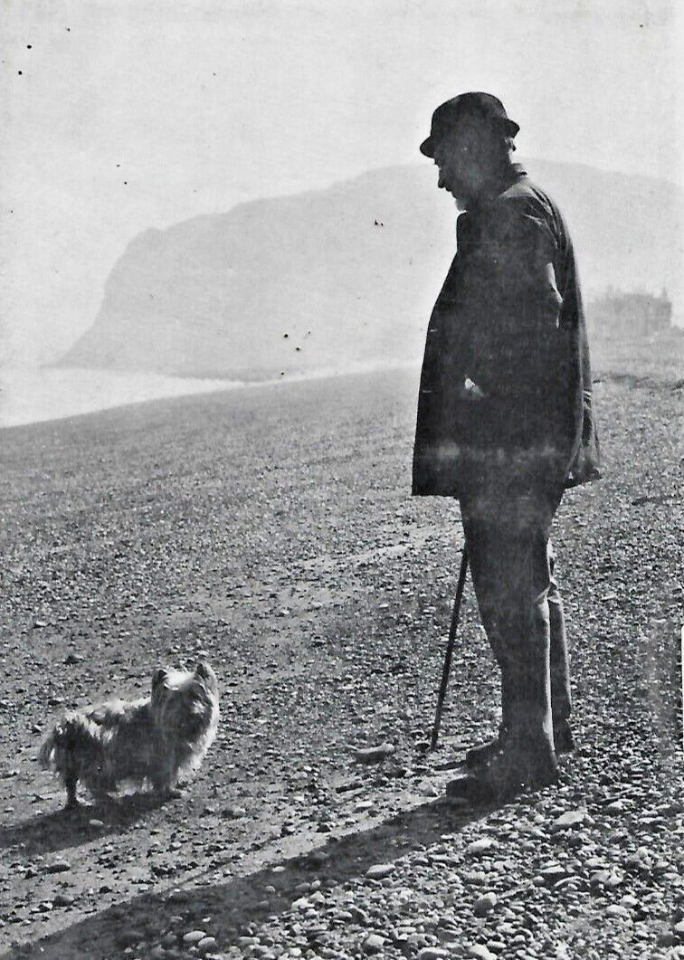 One Man And His Dogs Ian Niall 1976 H/C                                      B-6