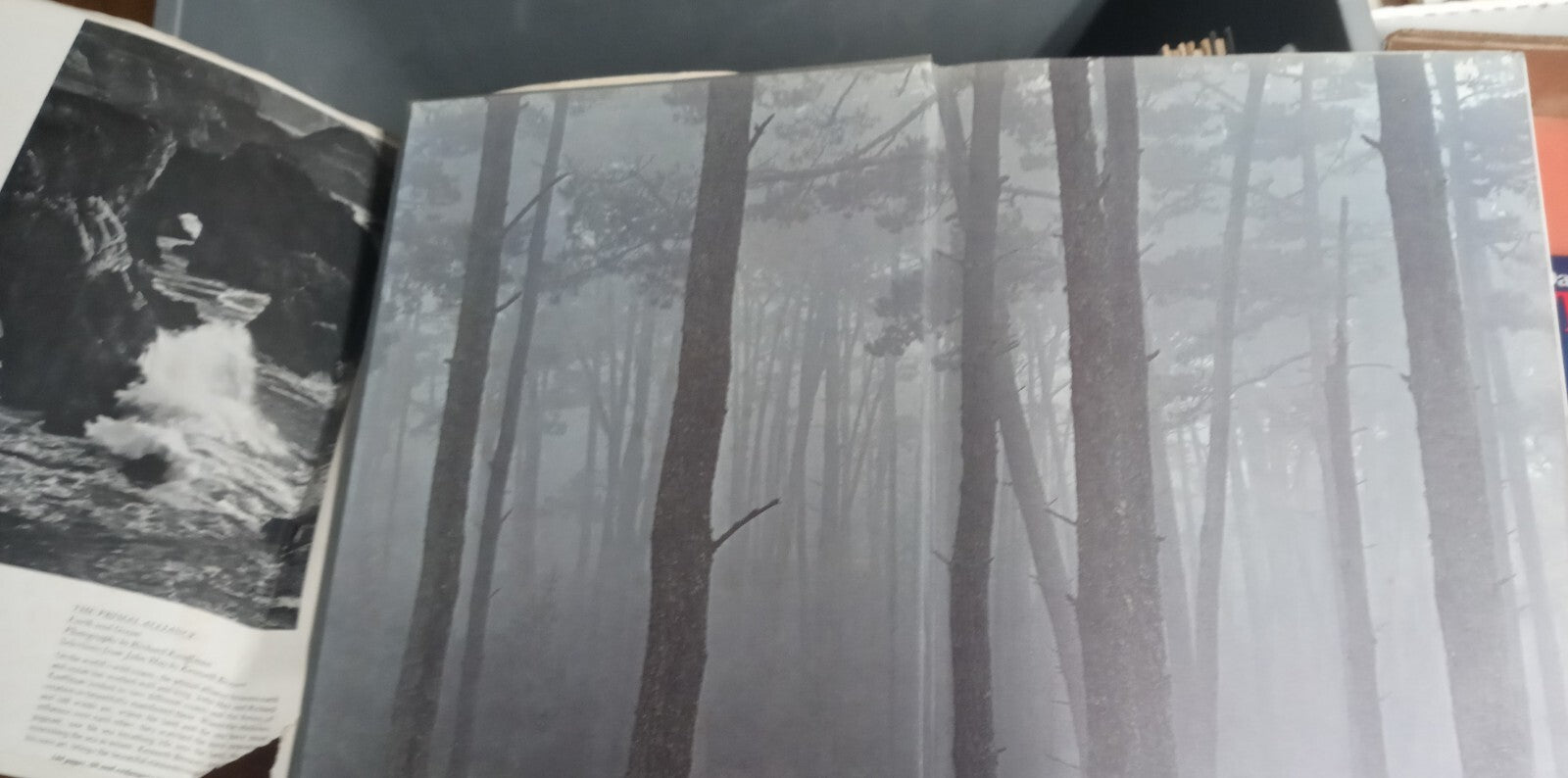 The Primal Alliance  Earth and Ocean by Richard Kauffman H/C                 B-7