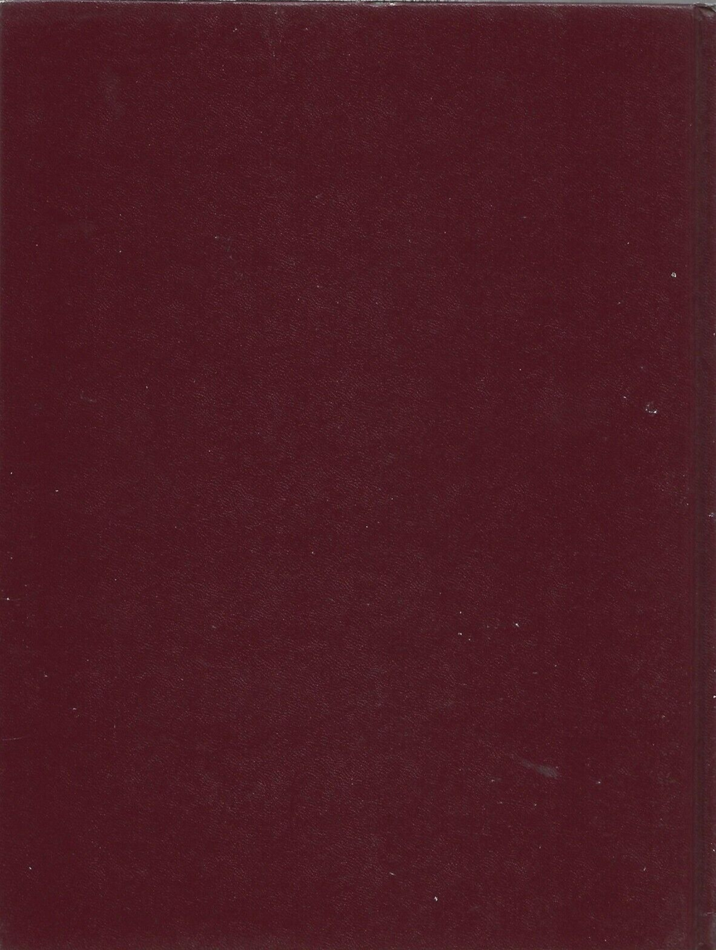 Professional Painted Finishes 1991 HC 1st Printing by Ina Marx "VG"           B6