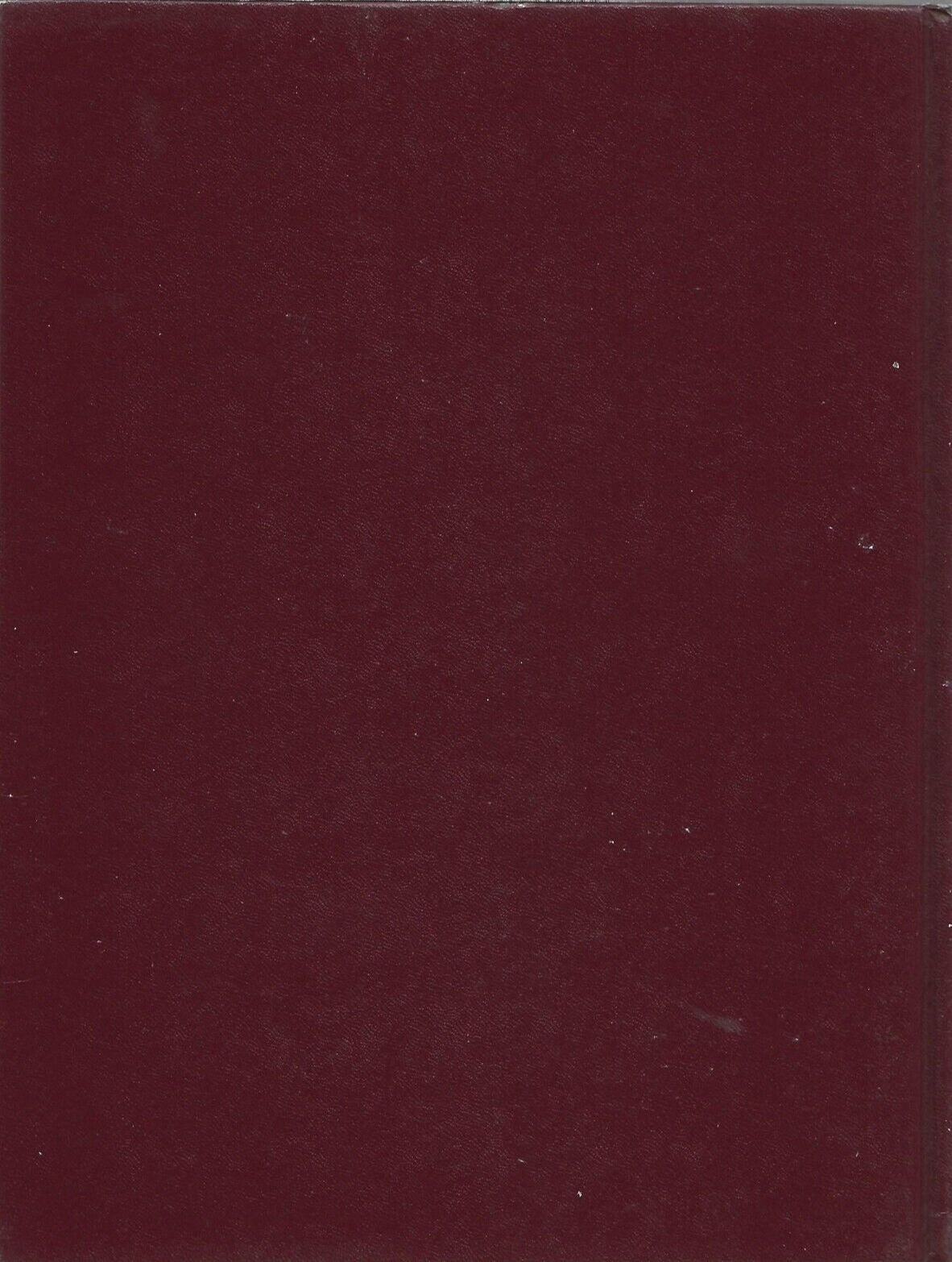 Professional Painted Finishes 1991 HC 1st Printing by Ina Marx "VG"           B6