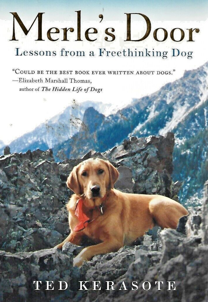 BUNDLE OF 12 PAPERBACK BOOKS SEE PICTURES FOR TITLES                      B-  20