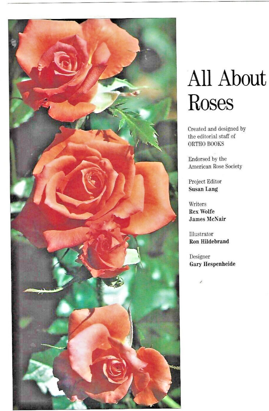 ALL ABOUT ROSES  1990  PB                                                   B-12