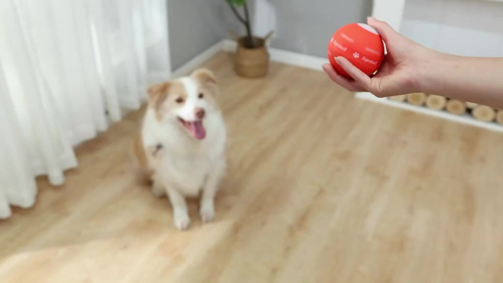 3rd Generation Interactive Dog Balls, BARHOMO Automatic Moving Tennis Ball Toys with Strap for Puppy/Small/Medium/Large Dogs, Improved Rolling Effect