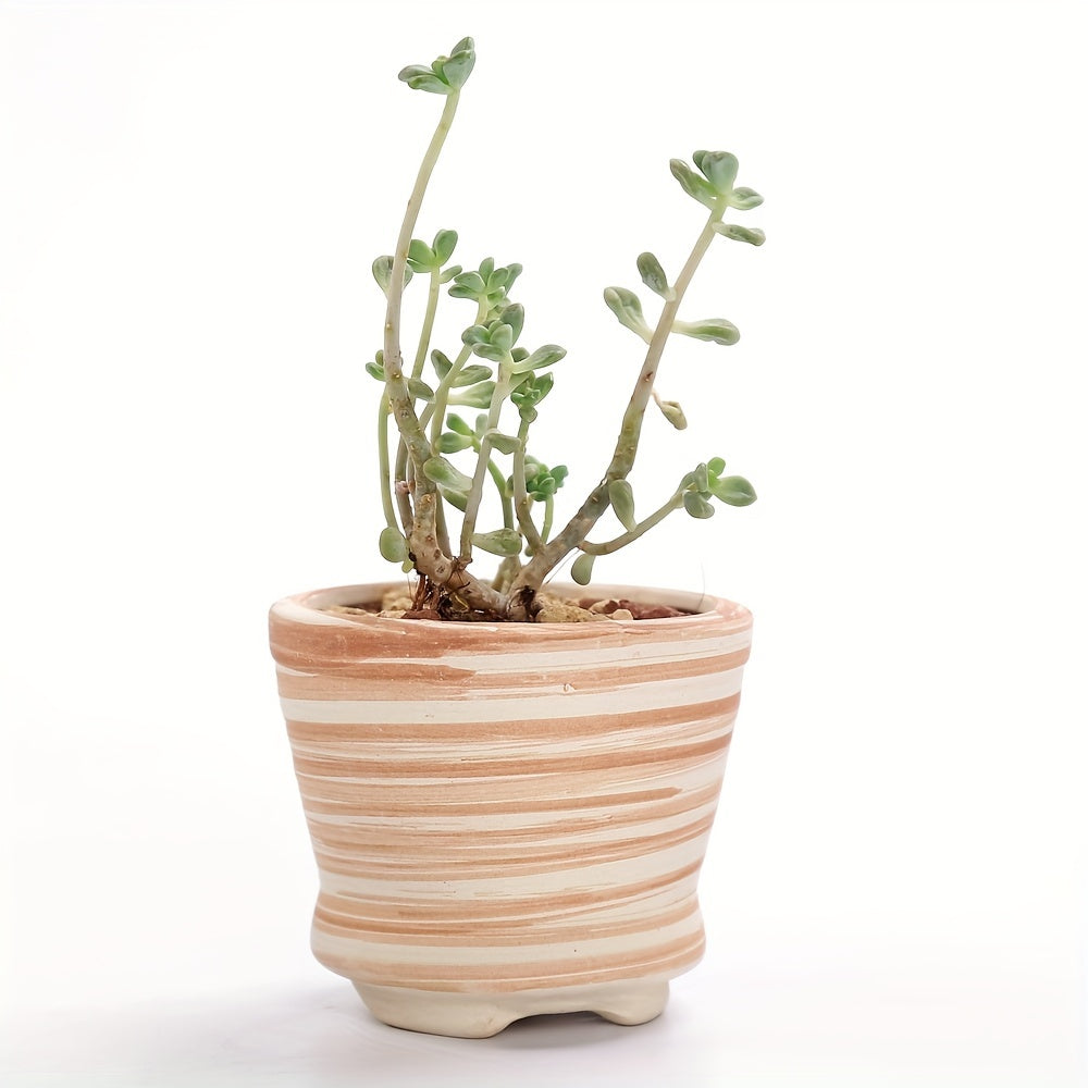 SUN-E 6pcs/Set Mini Plant Pots Pattern Succulent Plant Pot Cactus Pot Flower Pot Decorative Ceramic Planter for Home House Office Outdoor Garden Container Planter Perfect Gift Idea for Women with Drain Hole 2.5Inch/6.5cm (Pla