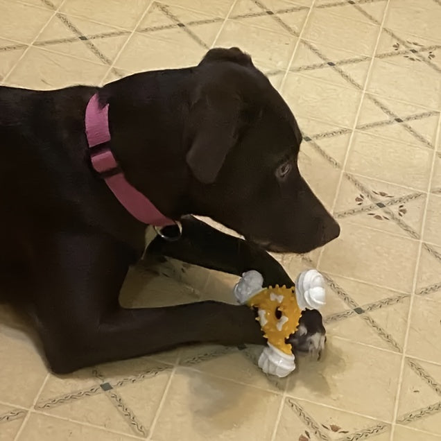 Durable Dog Chew Toy for Teeth Cleaning -