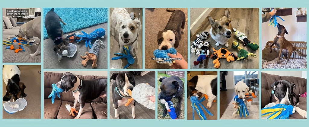 4-Pack Nocciola Ocean Theme Dog Toys - Crinkle Squeaky Interactive Plush Chew Toys for Puppies, Durable Non-Toxic Fabric with Octopus, Salmon, Hermit Crab & Shell Designs, Safe for Aggressive Chewers & All Dog Sizes, Interact