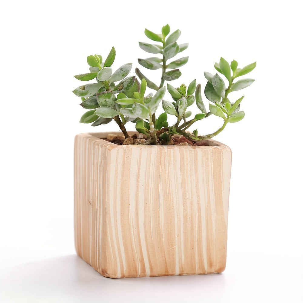 SUN-E 6pcs/Set Mini Plant Pots Pattern Succulent Plant Pot Cactus Pot Flower Pot Decorative Ceramic Planter for Home House Office Outdoor Garden Container Planter Perfect Gift Idea for Women with Drain Hole 2.5Inch/6.5cm (Pla