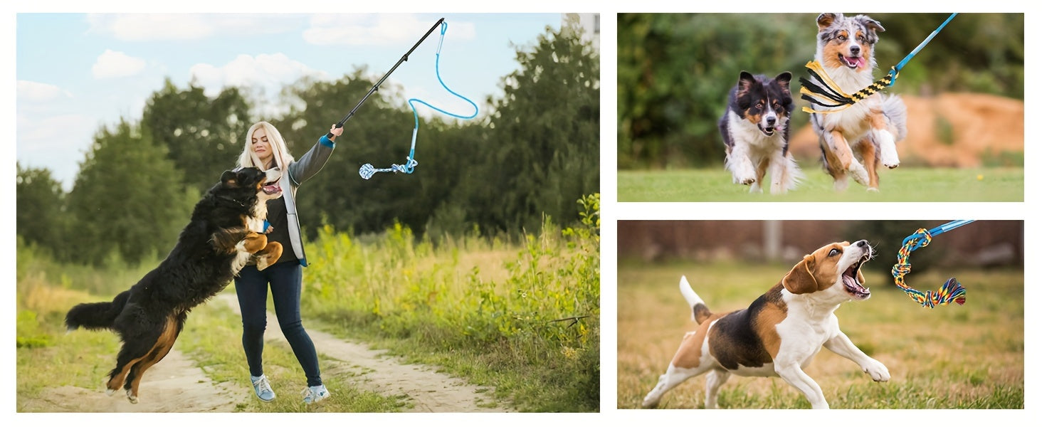 Extendable Flirt Pole for Large Dogs - Dog Flirt Stick with Detachable Interactive Toys - Flirt Stick for Small Medium Large Dogs Training Playing Exercise - Enhances Agility & Cleans Teeth, Dog Toys