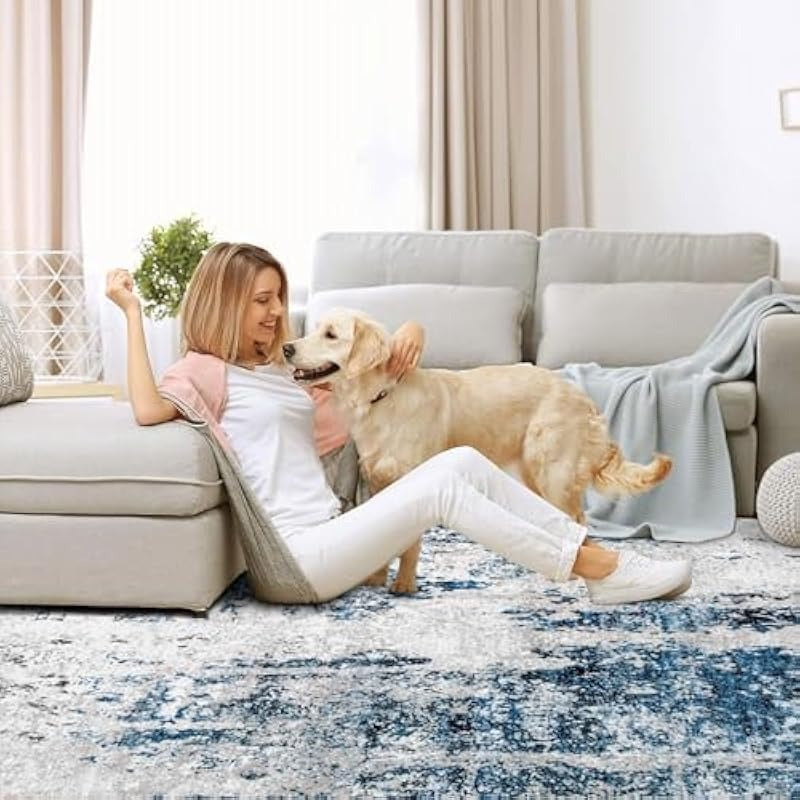 Area Rug 4x6 Washable Rug Modern Abstract Bedroom Rug NonSlip Soft Neutral Area Rug Stain Resistant Throw Rugs for Entryway Kitchen Door Mat Indoor Entrance Laundry Grey Blue 4'x6'