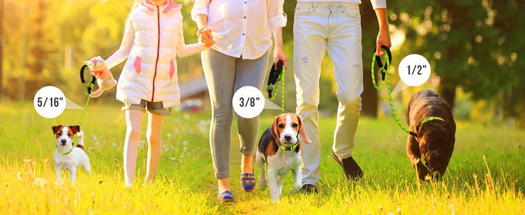 JOYTALE Reflective Dog Leash with Comfortable Padded Handle - Ideal for Small, Medium, and Large Dogs - 4/5/6 FT Length Options Available