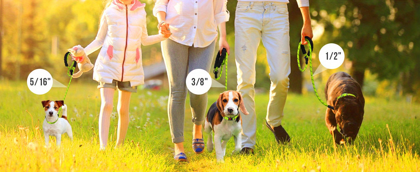 JOYTALE Reflective Dog Leash with Comfortable Padded Handle - Ideal for Small, Medium, and Large Dogs - 4/5/6 FT Length Options Available